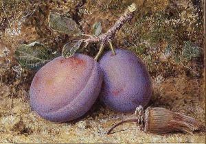 Plums and a cob nut Plums and a cob nut