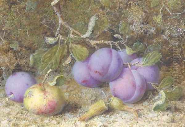 Plums, an apple and hazelnuts on a mossy bank - view 1