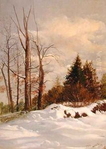 Catskill Winter Landscape