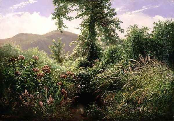 Catskill Mountains Shandaken New York - view 1
