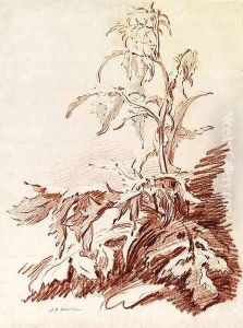 A Poppy Plant by Jean-Baptiste Huet