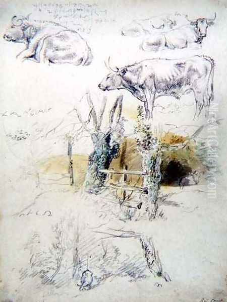 Cattle Studies - view 1