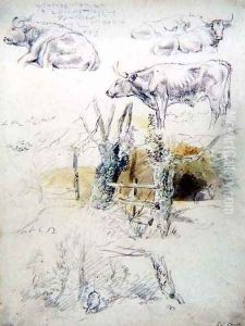 Cattle Studies