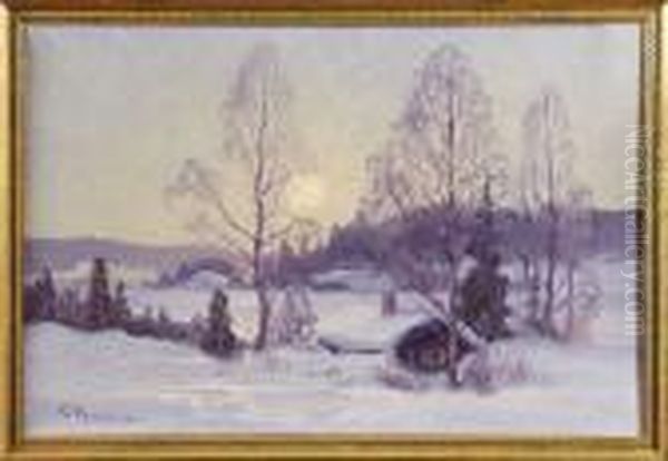 Vinterlandskap I Solsken - view 1