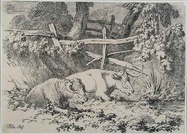 Cattle Resting - view 1