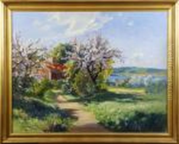 Sommarlandskap - view 1