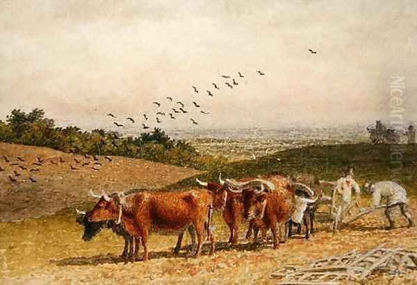 Oxen Ploughing a Downland Field - view 1
