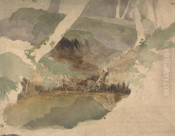Forest Pool - view 1