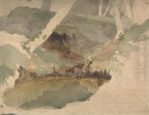 Forest Pool