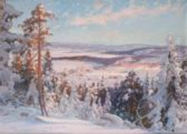 Vinterlandskap - view 1