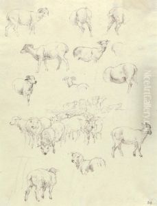 Flock of Sheep by Robert Hills
