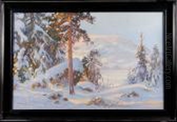 Vinterlandskap - view 1
