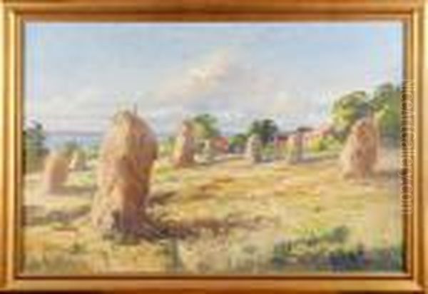 Sommarlandskap - view 1