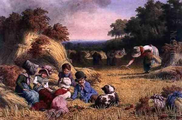 Harvest Field - view 1