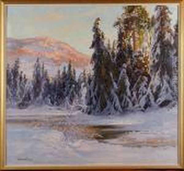 Vinterlandskap - view 1