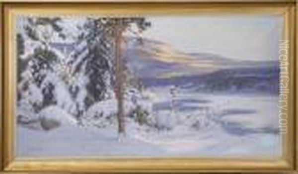 Vinterlandskap - view 1