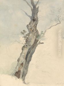Tree Study