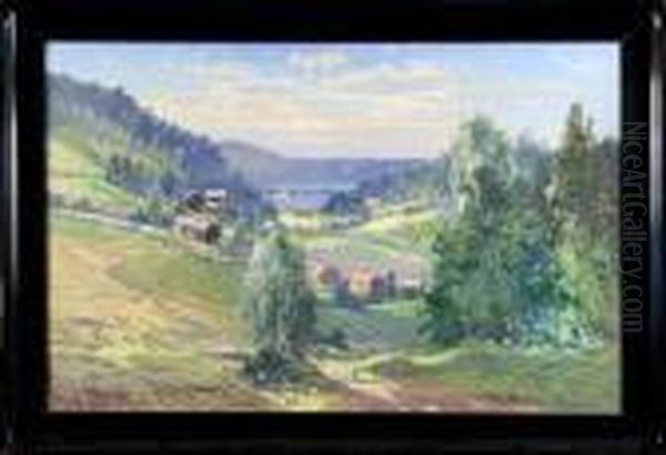 Sommarlandskap Med Insjo - view 1