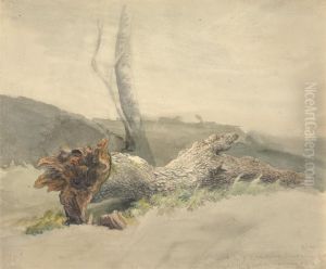 The Fallen Tree