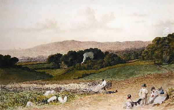 The Turnip Field - view 1