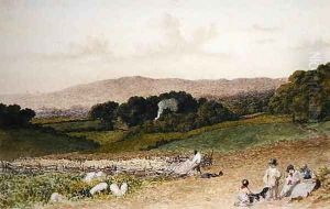 The Turnip Field