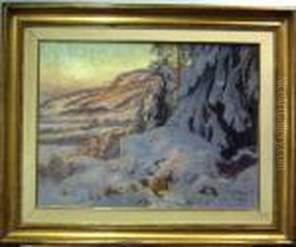 Vinterlandskap. - view 1