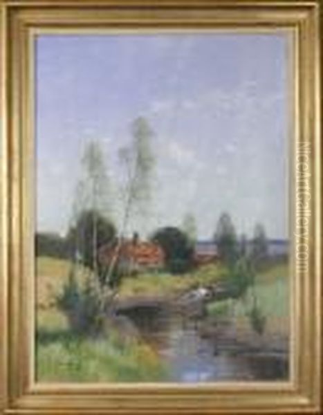 Insjolandskap Med Stuga - view 1