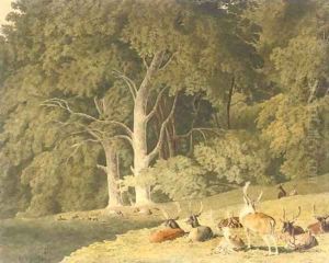 A herd of deer resting in a glade