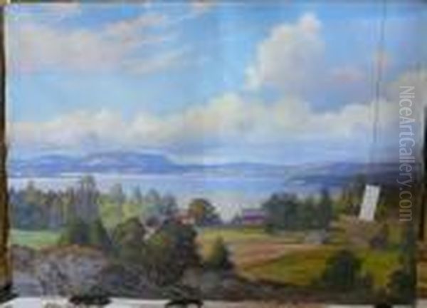 Sommarlandskap. - view 1