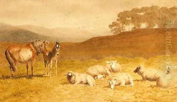 Sheep and ponies resting in an extensive landscape - view 1