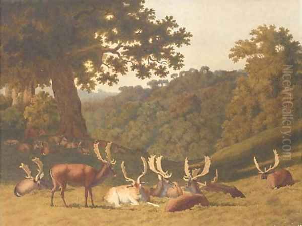 Stags and hinds resting in a parkland landscape - view 1