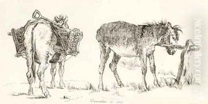 Study of two donkeys