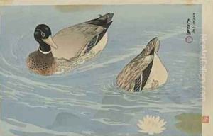 Ducks Taisho era by Goyo Hashiguchi
