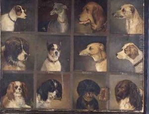Twelve Favourite Dogs by Edwin Frederick Holt