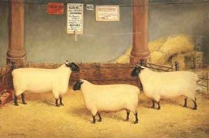 The Marquis of Bristol's Prize Winning Suffolk Sheep by Edwin Frederick Holt