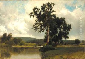 Summer Along the Lake