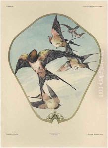 Fan plate 30 from Fantaisies decoratives by Jules Auguste Habert-Dys