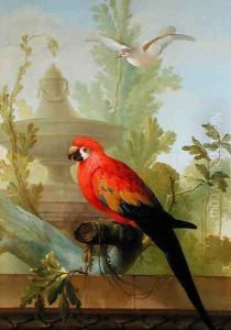 A Macaw and a Dove in an ornamental Garden