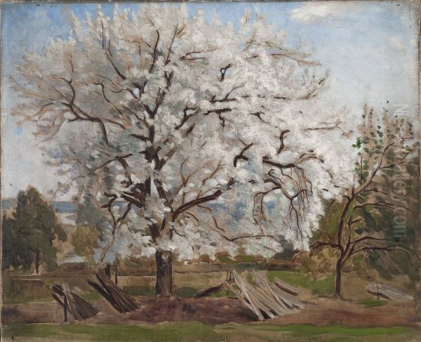 Apple Tree in Blossom - view 1