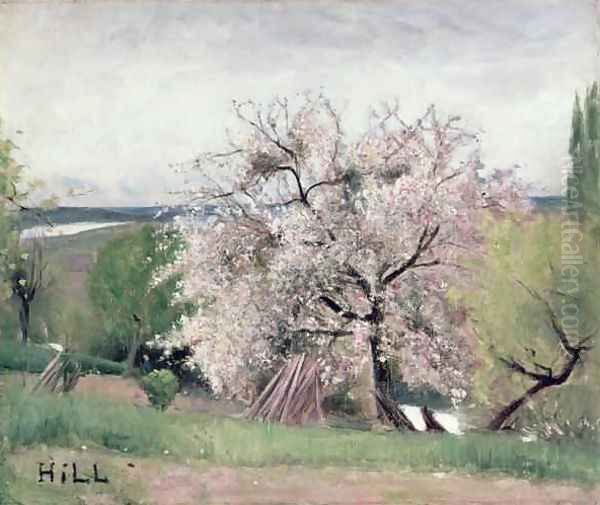 Fruit Tree in Blossom Bois le Roi - view 1