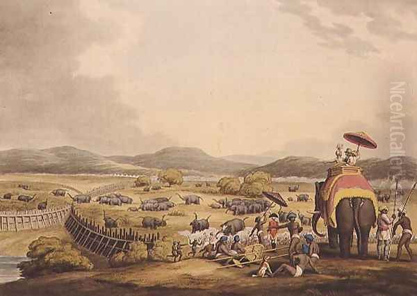 Driving Elephants Into A Keddah - view 1