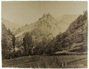 Echery, 
Vosges Mulhouse by Adolphe Braun
