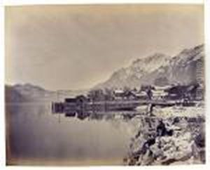 Vue Suisse by Adolphe Braun