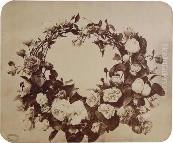 Etude De Fleurs - view 1