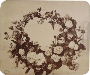 Etude De Fleurs by Adolphe Braun
