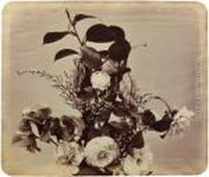 Bouquet De Roses by Adolphe Braun