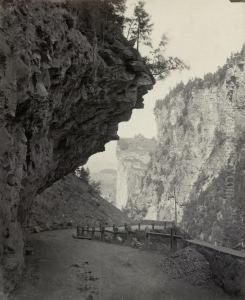 Views Of The Viamala by Adolphe Braun