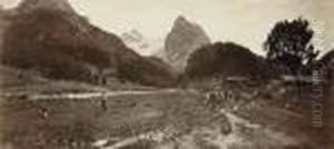 'lac De Wallenstadt' by Adolphe Braun
