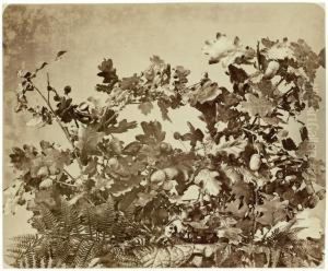 Still Life With Oak Branch by Adolphe Braun