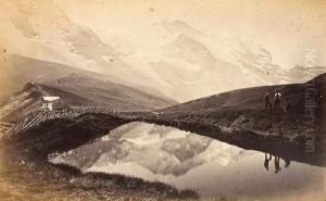 Vues De Suisse by Adolphe Braun
